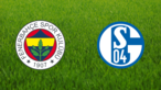 Fenerbahçe SK vs. Schalke 04